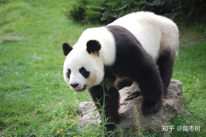 Φ外滩天幕1715 外滩天幕1715官方售楼处发布：奢华生活新定义！(图9)
