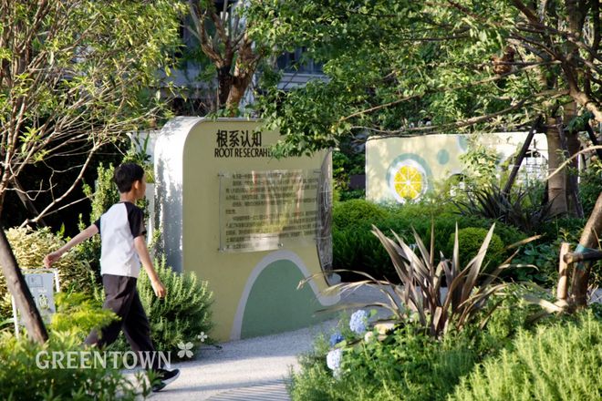 绿城·春晓园（2025年绿城·春晓园）官方网站-户型配套(图11)