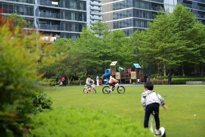 绿城·春晓园（2025年绿城·春晓园）官方网站-户型配套(图12)