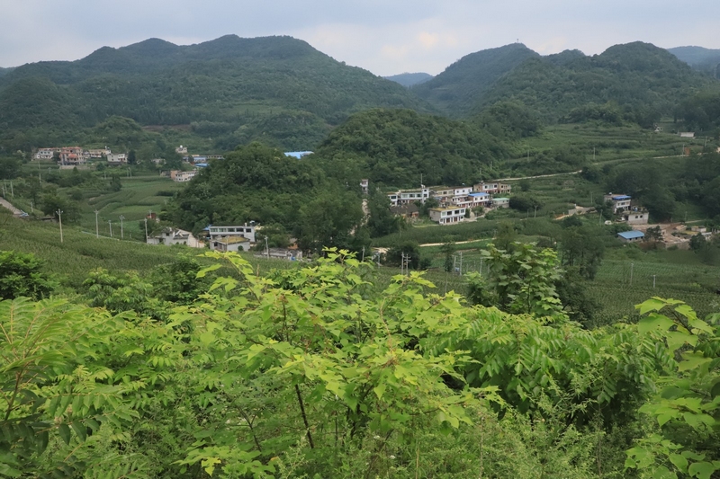 修文县六广镇：供水系统改造惠泽489户1600余人(图1)
