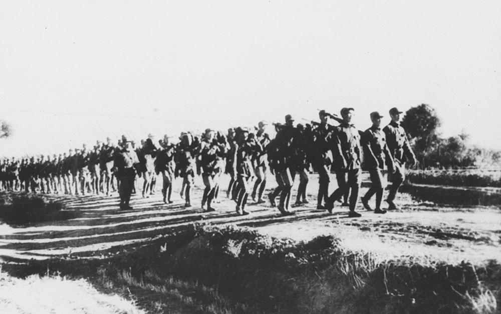 镜观·回响|砥柱中流护家园 转型发展迈新步(图5)