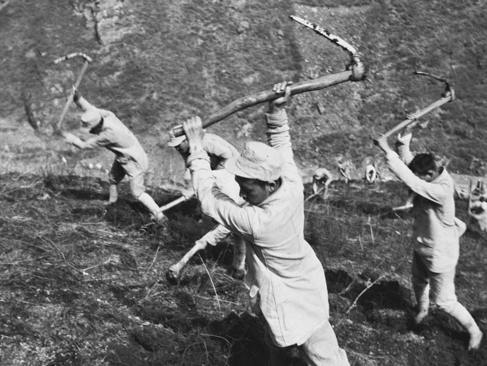 镜观·回响|砥柱中流护家园 转型发展迈新步(图6)