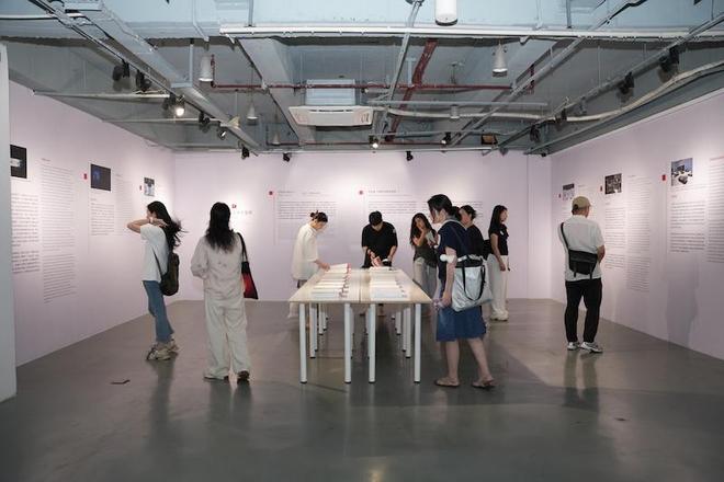 用文献与作品回顾2024中国当代艺术(图10)