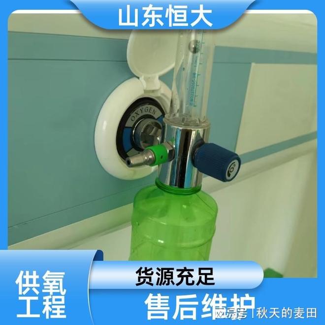 2025年中心供氧系统优质厂家有推荐吗？山东恒大品质有保障(图2)