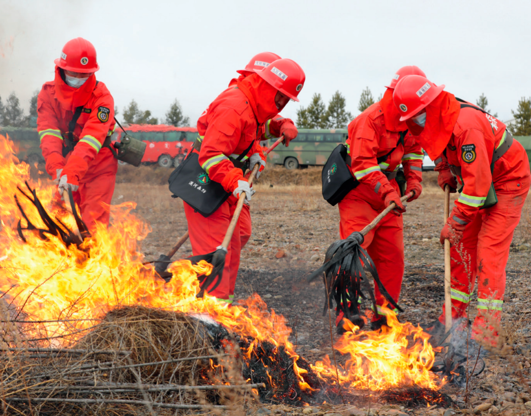 习近平与美丽中国建设丨“增绿就是增优势、护林就是护财富”——黑龙江大兴安岭地区干部群众访谈录(图5)