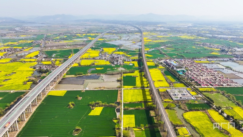 你好小镇丨安徽东联：东立潮头(图1)