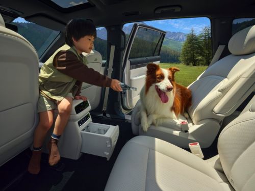 被问爆的家用SUV!2026款东风奕派eπ008凭大空间 + 高安全成20万级首选(图1)