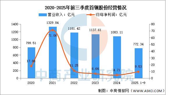 2025年中国硅钢行业市场前景预测研究报告(图10)