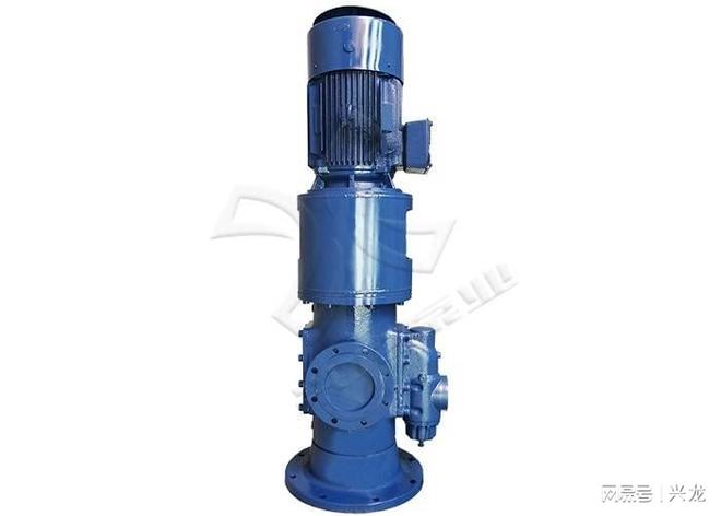 铸铁螺杆泵:高效稳定工业流体输送的理想之选(图2)