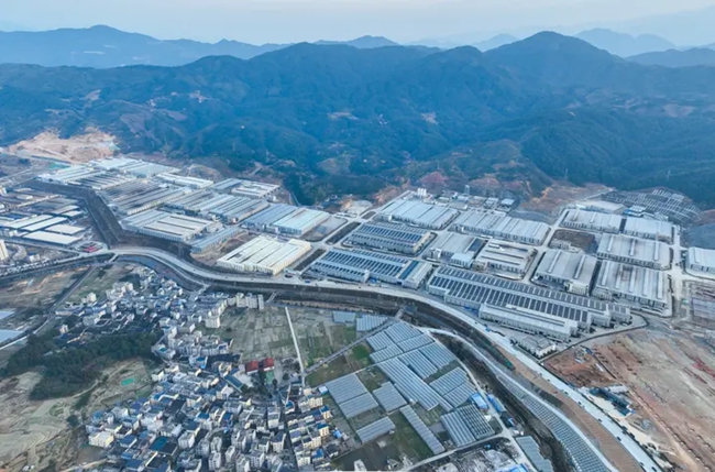 牢记嘱托 逐绿前行 奋力谱写新时代周宁发展新篇章(图1)