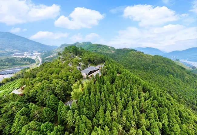 牢记嘱托 逐绿前行 奋力谱写新时代周宁发展新篇章(图3)