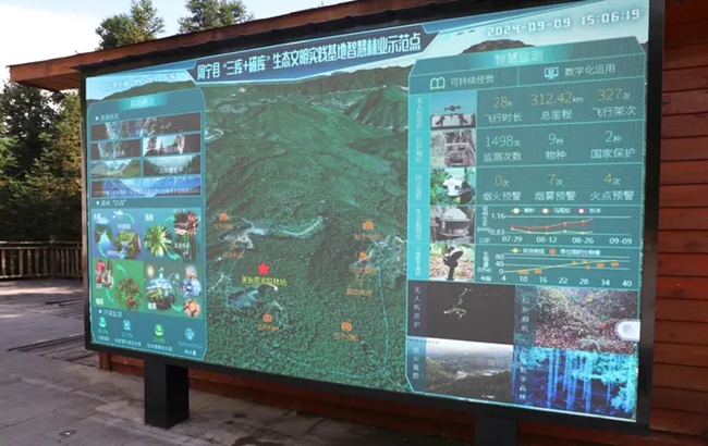 牢记嘱托 逐绿前行 奋力谱写新时代周宁发展新篇章(图4)