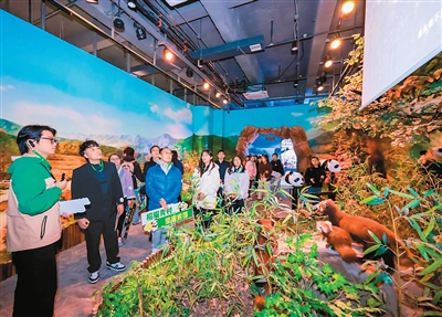 台湾频道--人民网(图3)