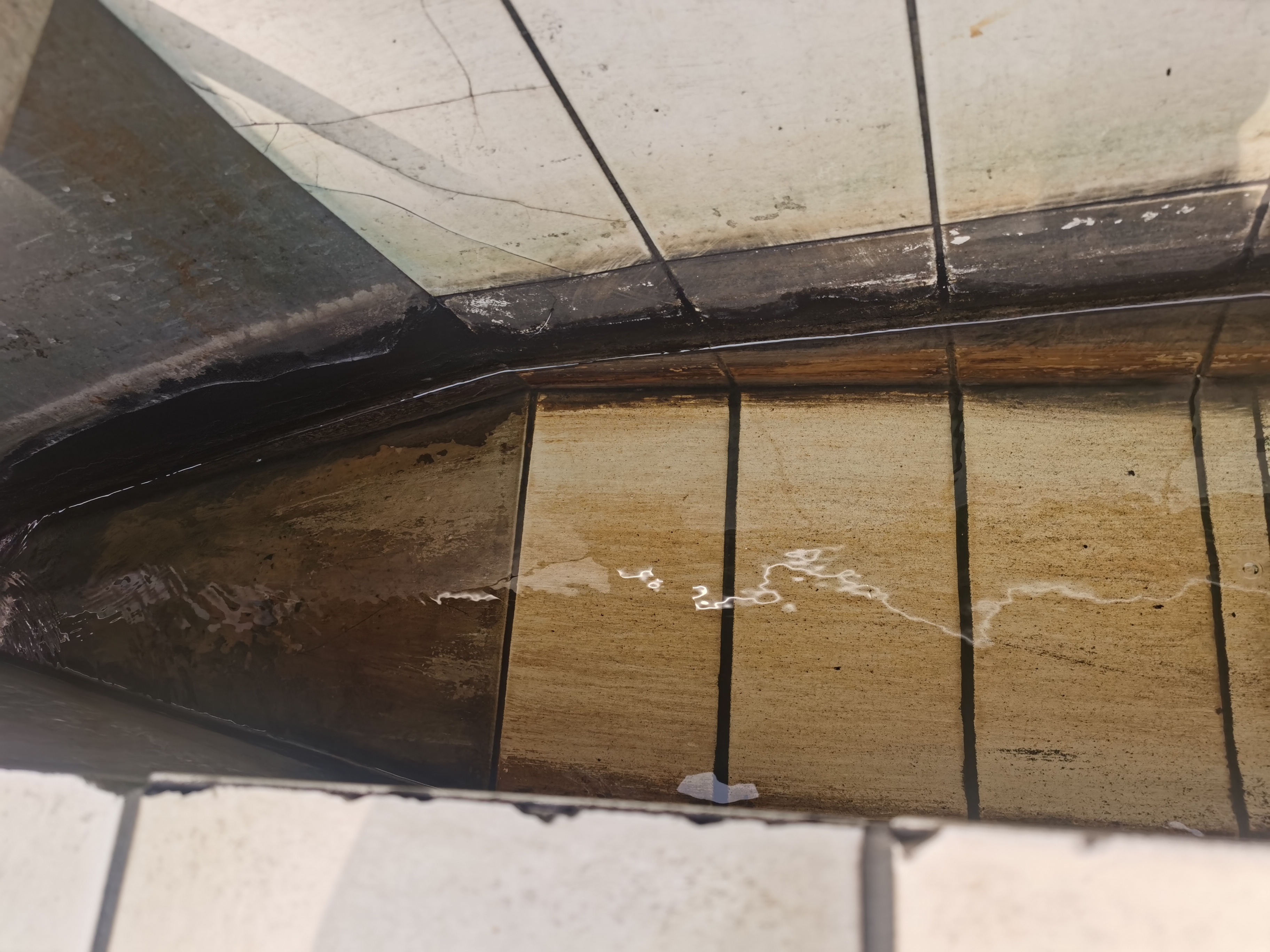 2026年Q2焦化废水处理难题破解？鑫启元环保以技术驱动提供可靠方案(图1)