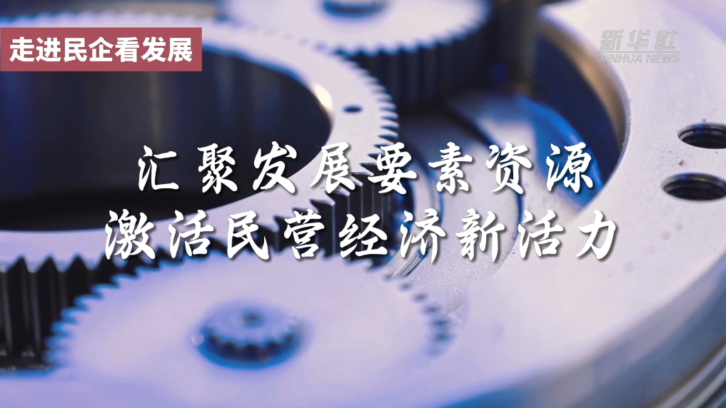 走进民企看发展丨汇聚发展要素资源 激活民营经济新活力(图6)