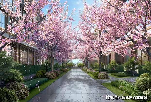 成都雍景致臻天府开发商官方咨询热线_今日价格公示_主力户型解读_7月最新优惠(图4)